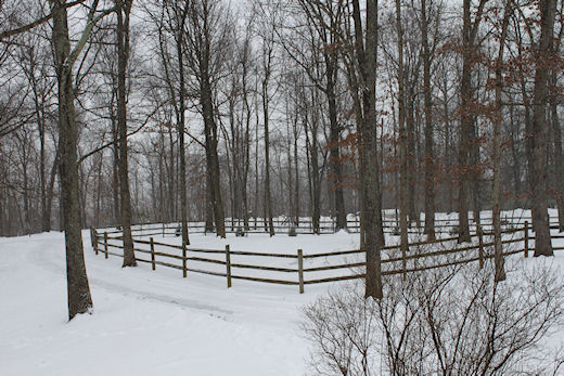 2010-02-02-0122.jpg