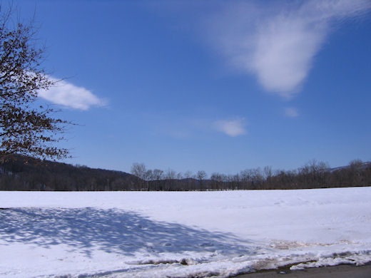 2010-02-20-0017.jpg