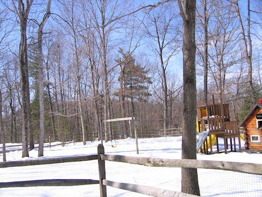 2010-02-20-0025.jpg