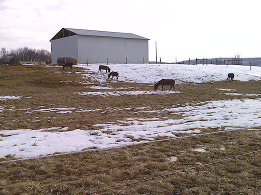 2010-03-01-0001.JPG