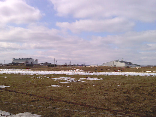 2010-03-01-0003.JPG