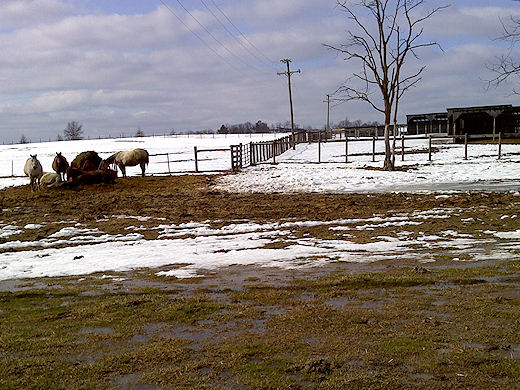 2010-03-01-0006.JPG