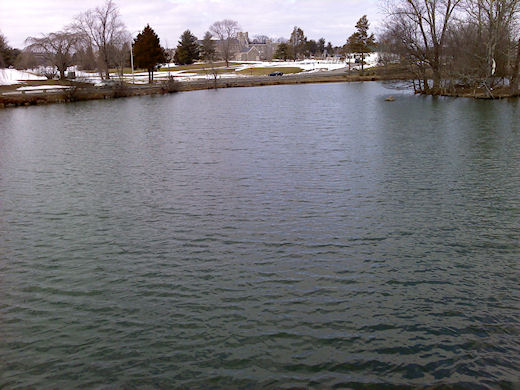 2010-03-01-0009.JPG
