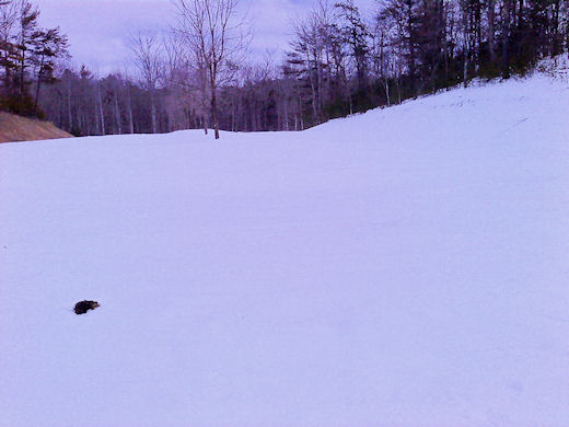 2010-03-01-0018.JPG