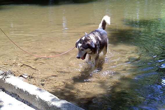 2010-06-07-0009.JPG