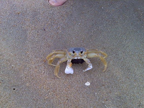 2010-07-10-0003.JPG
