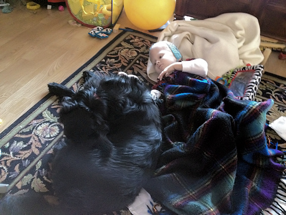 2011-11-30-0062.JPG