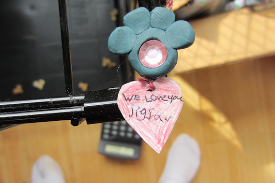 2012-03-12-0002.JPG