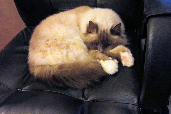 2012-03-12-0301.JPG