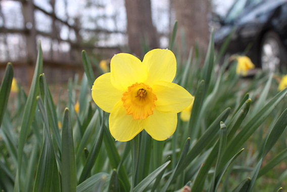 2012-03-19-0003.JPG