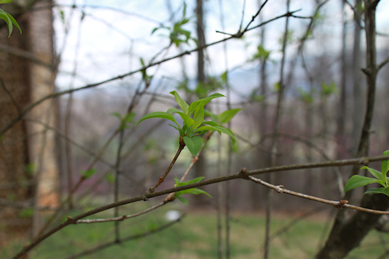 2012-03-19-0004.JPG