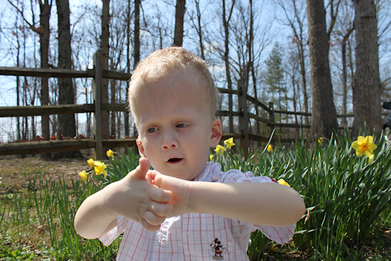 2012-03-19-0228.JPG