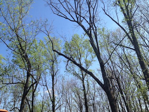 2012-03-28-0109.JPG