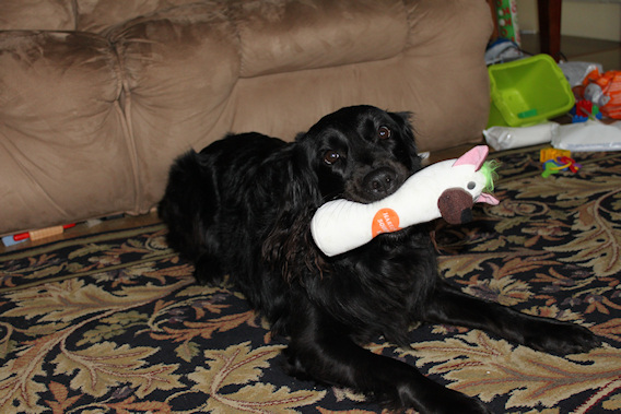 2011-12-25-0004.JPG