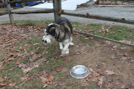 2011-12-25-0007.JPG