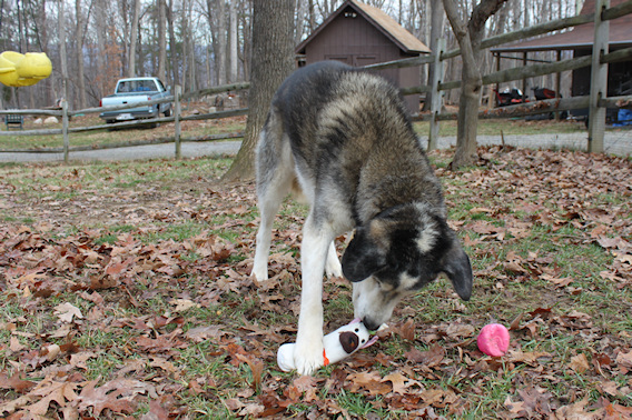2011-12-25-0012.JPG